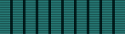 9 Years Long Service Medal