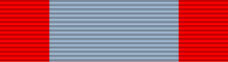Special Service Medal