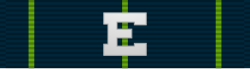 Marksmanship Medal Expert Riffle