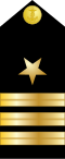 Commander (US · OF-4) US Commander