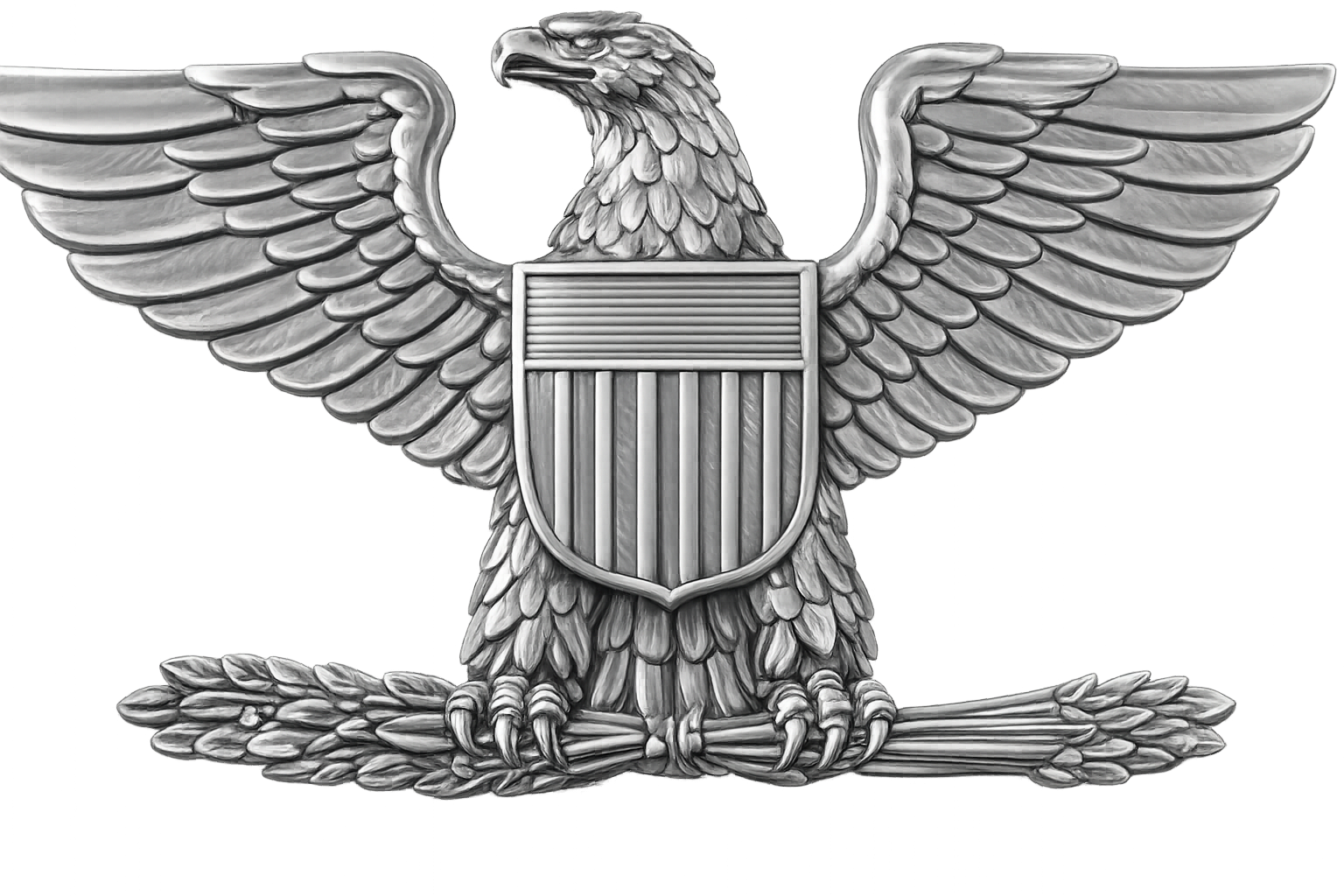 US Colonel