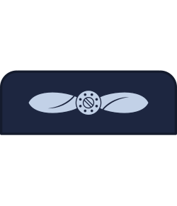 Air Specialist (class 2) (UK) UK Air Specialist (class 2)