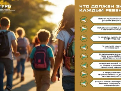 Подготовка к новому учебному году: что важно знать