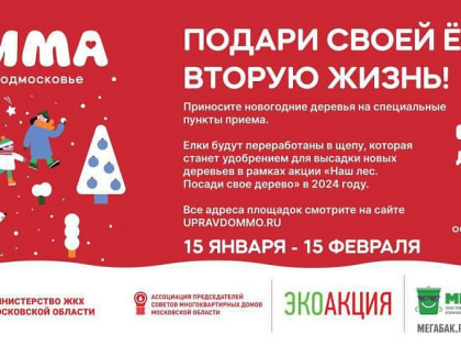 С 15 января Домодедово присоединяется к экологической акции «Подари своей ёлке вторую жизнь»