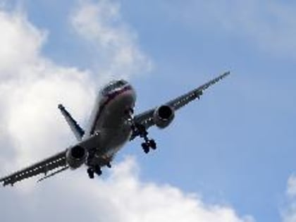 Минтранс выделит свыше 5 млн рублей на защиту самолетов от птиц