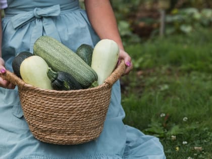 Новые достижения в области технологий 2023 года