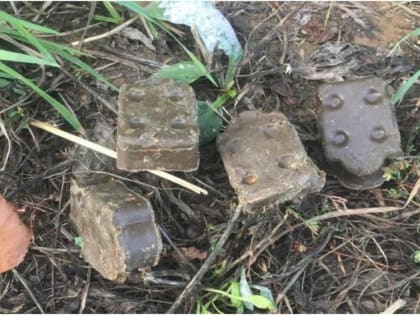 Станция по борьбе с болезнями животных информирует!