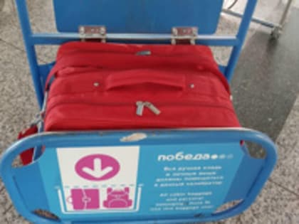 "Победа" сохранит два варианта провоза ручной клади