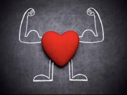 Сердце – самый важный орган, от которого зависит функционирование всех других органов