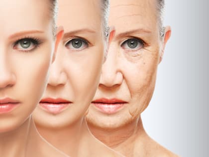 Nature: в Шотландии нашли способ победить старость