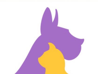 Приют «Пушистый друг» в Новой Москве приглашает гостей и посетителей