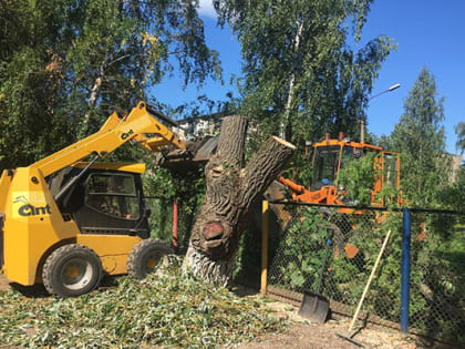 Зарайские единороссы помогли детскому саду опилить деревья, представляющие для детей угрозу