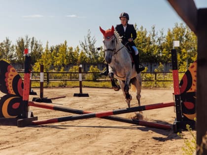 Соревнования по конному спорту прошли в Орехово-Зуевском округе