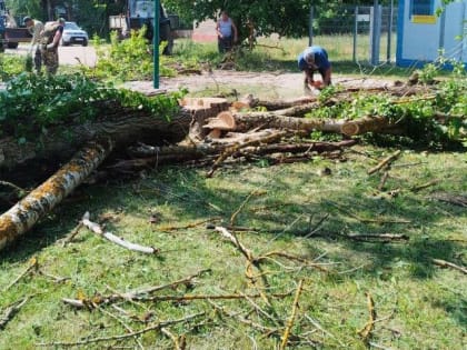 В Рузском округе обрезают ветки