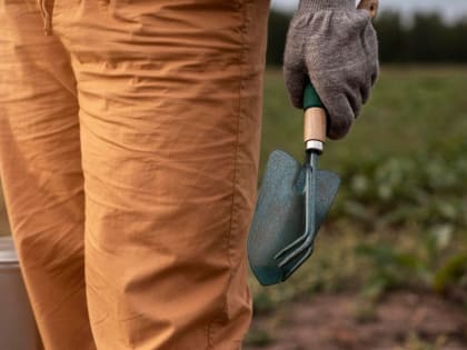 Эксперт объяснила, как справиться с сорняками