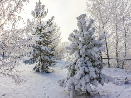 В Москву и Подмосковье пришла самая холодная ночь с начала зимы