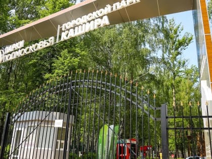 Каждое воскресенье — День заботы о здоровье в Городском парке Каширы