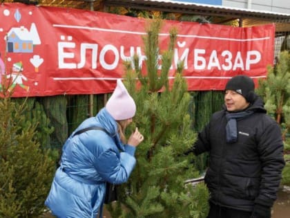 Елочные базары открылись в Подольске