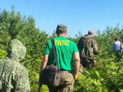 Восстановление лесов Орехово-Зуевского округа после пожаров 2010 года