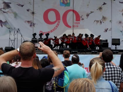 Более 25 тысяч человек посетили День Пушкинского городского округа
