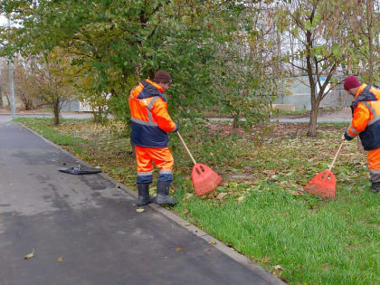 Воскресенское: Уборка листвы продолжается в поселении