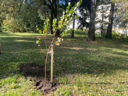 Проблемы городской инфраструктуры в Москве