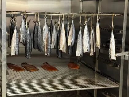 Подмосковный завод по переработке рыбы запустили на полную мощность