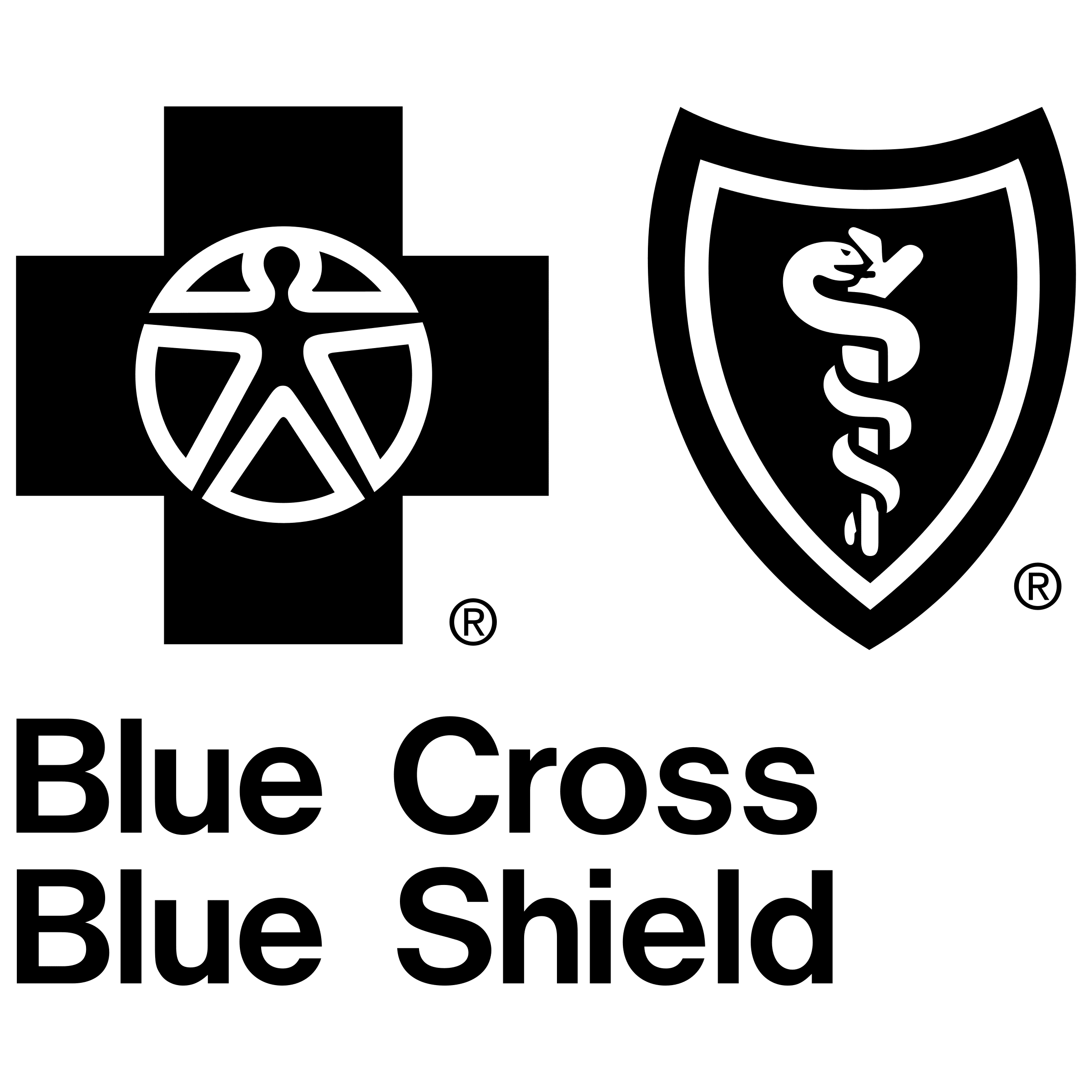 BlueCross BlueShield logo