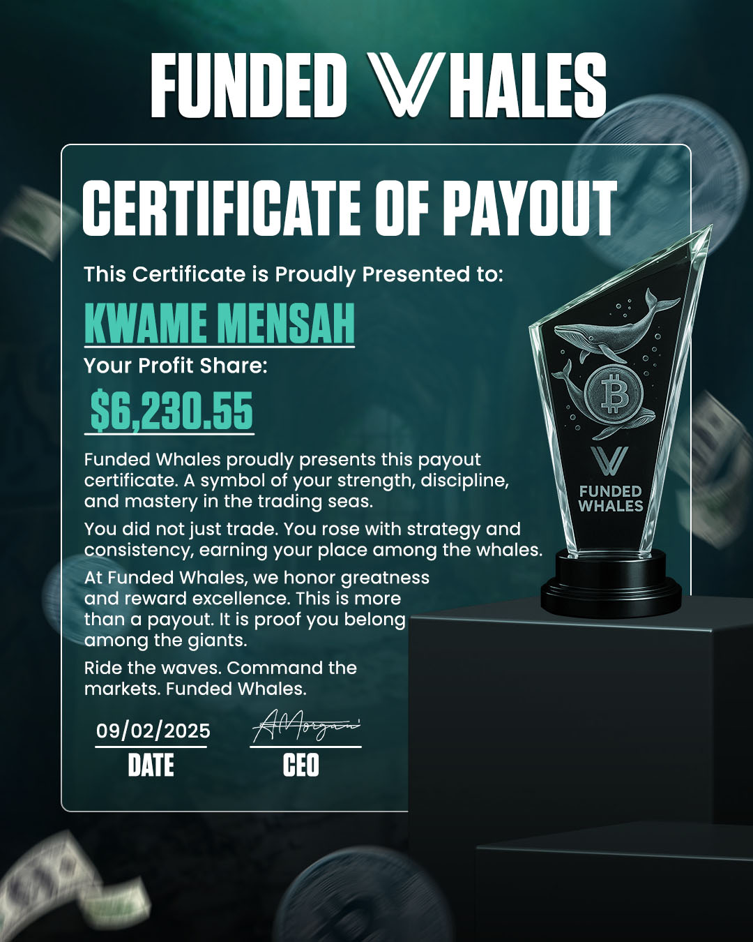 Certificate 5