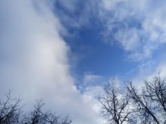 Прогноз погоды на среду 5 марта в Краснодарском крае: обстановка по городам