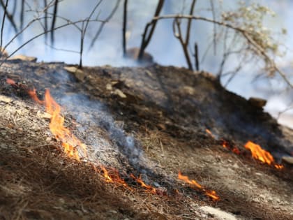 На Кубани сохраняется высокая пожароопасность