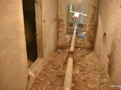 «В квартирах тучи кровососов». В затопленном подвале дома в Новороссийске завелась живность