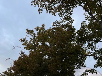 Синоптики резко изменили прогноз на предстоящие выходные 1 и 2 февраля на Кубани