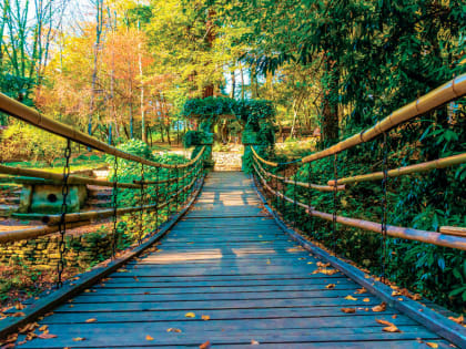 Подвесной мост в сочинском “Дендрарии” закроют на обработку