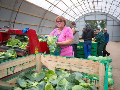 Малый бизнес Краснодарского края с начала 2019 года получил господдержку на 790 млн рублей