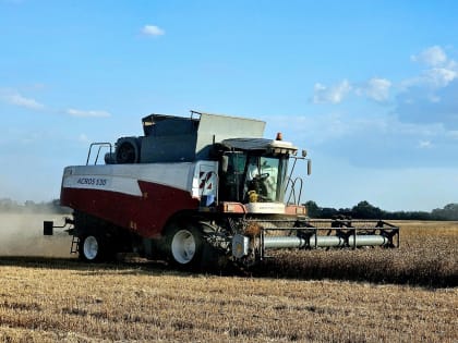 Жатва близится к финишу