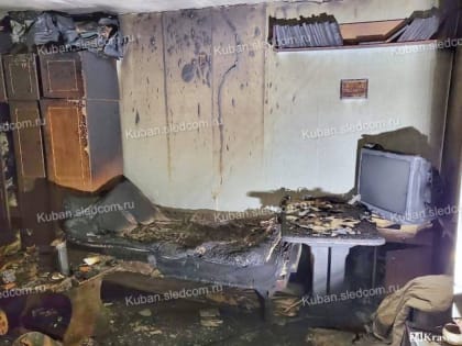 Пенсионерка сгорела заживо