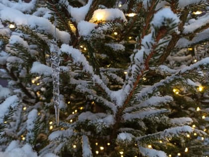 До минус 19 ˚С : прогноз погоды на пятницу 21 февраля в Краснодарском крае