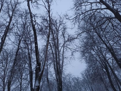 Синоптики ошарашили прогнозом на среду и четверг 5 и 6 марта на Кубани