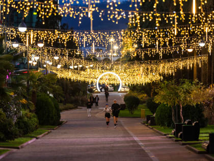 В Сочи в этом году запланирована реконструкция 214 объектов уличного освещения