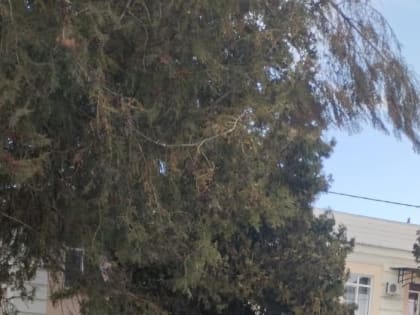 Борьба с гололёдом