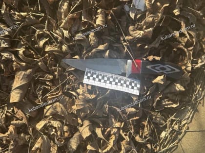 Пьяный житель Краснодарского края пытался зарезать своего собутыльника