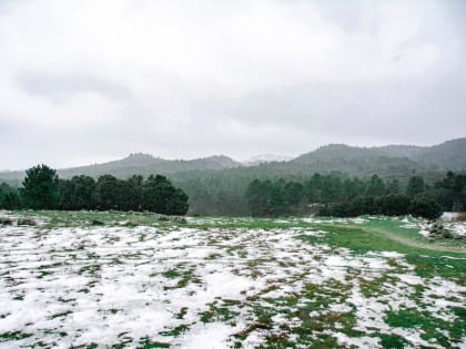 Первый снег в Центральной России ожидается на Покров