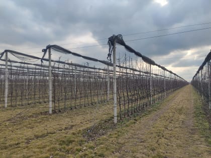 Пашни, фермы, сад, винодельня…