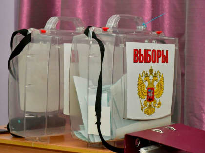 В Сочи подвели результаты дополнительных выборов депутатов Городского Собрания