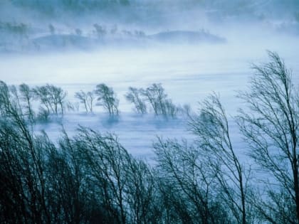 Синоптики Краснодарского ЦГМС раскрыли, чем ураган отличается от сильного ветра