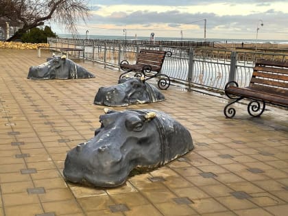 В Анапе собираются создать водно-гребной канал