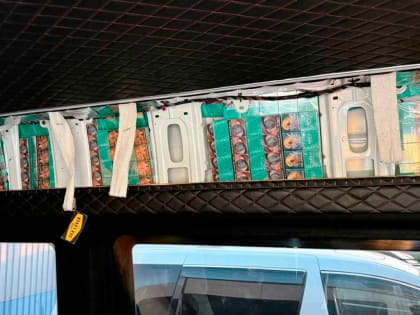 Контрабанда табака пресечена в Адлере