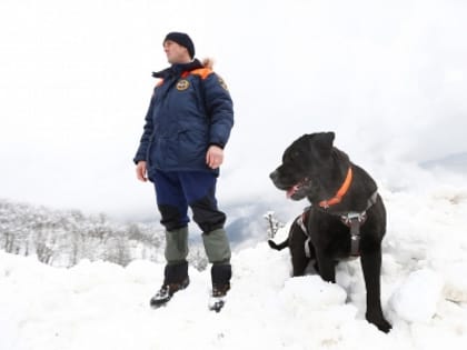 Губернатор Кубани осмотрел место схода лавины в горах Сочи