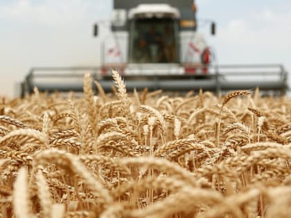 Работники сельского хозяйства 8 октября отмечают профессиональный праздник